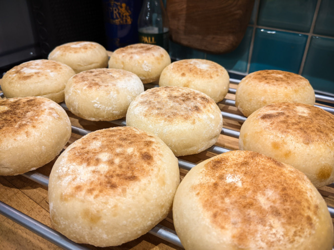Sourdough Muffins